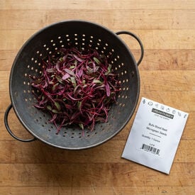 Bull's Blood Beet, Microgreen Seeds